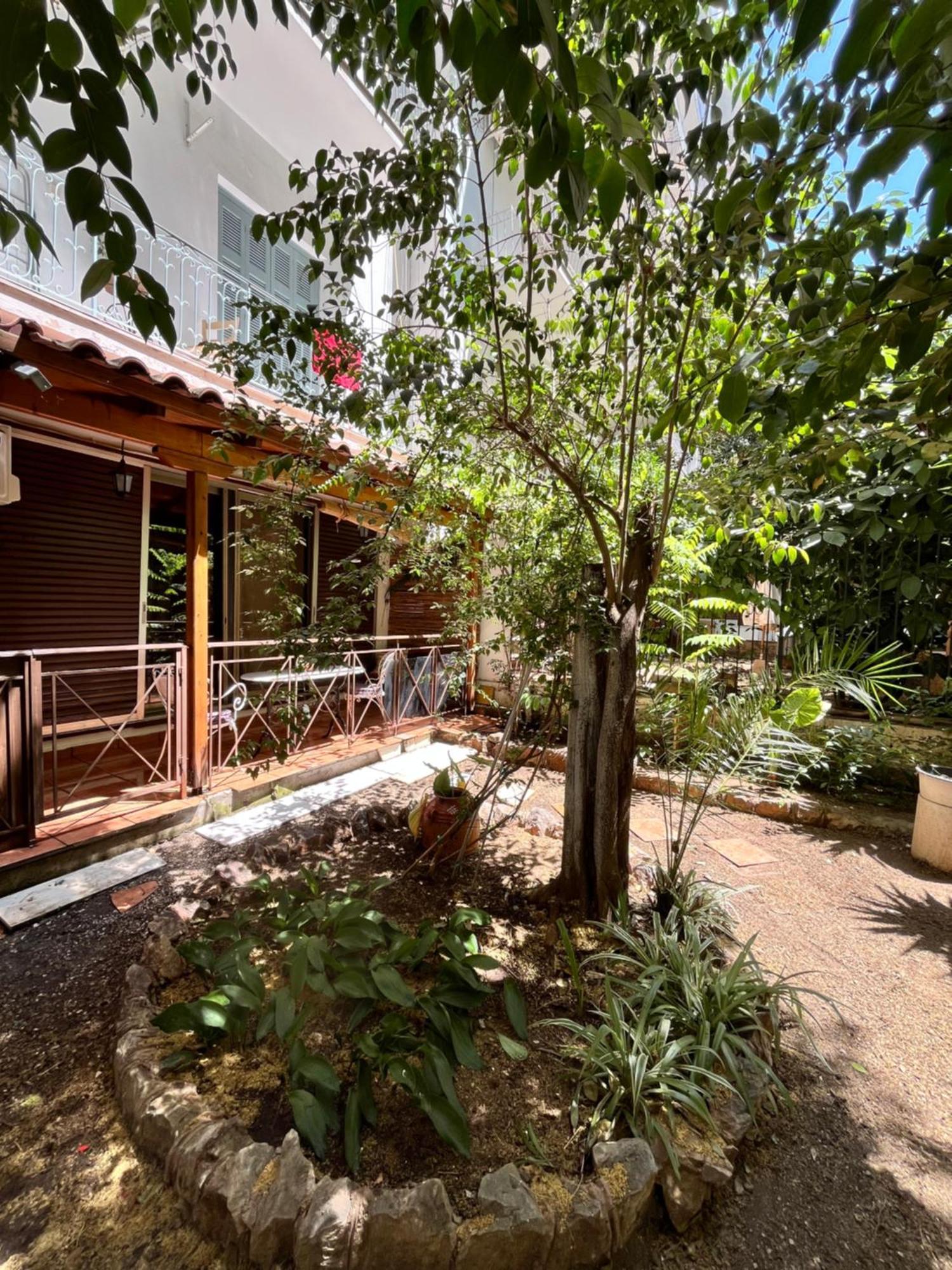 Quiet Apartment With Garden View In Kolonaki 雅典 外观 照片